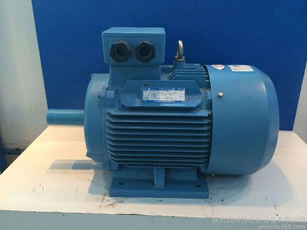 高效節(jié)能電機(jī)是西安泰富西瑪未來商業(yè)發(fā)展的方向。
