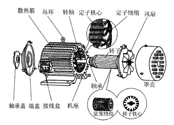 三相異步電動(dòng)機(jī)的六種分類方法及具體分類。
