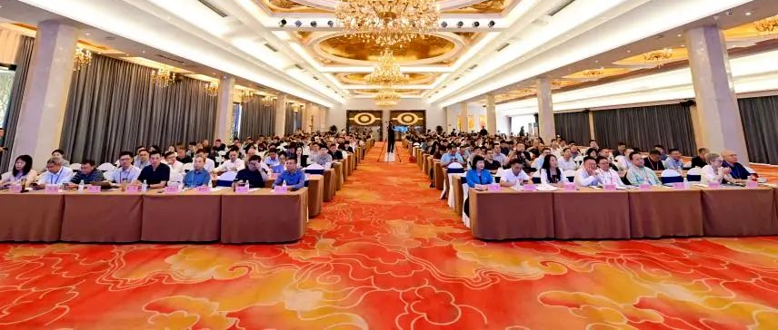 學(xué)習(xí)王早生會長在“聚焦新質(zhì)生產(chǎn)力，探索增長新路徑”會議上的講話